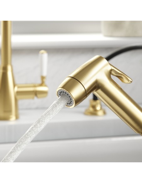 Douchette Professionnelle Double Jet Bronze Brossé Deux Modes De Débit