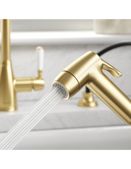 Douchette Professionnelle Double Jet Bronze Brossé Deux Modes De Débit
