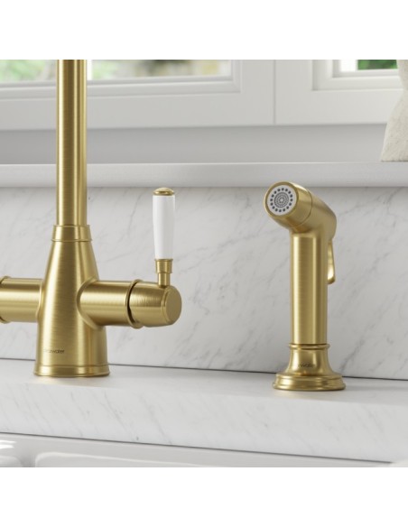 Douchette Professionnelle Double Jet Bronze Brossé Deux Modes De Débit