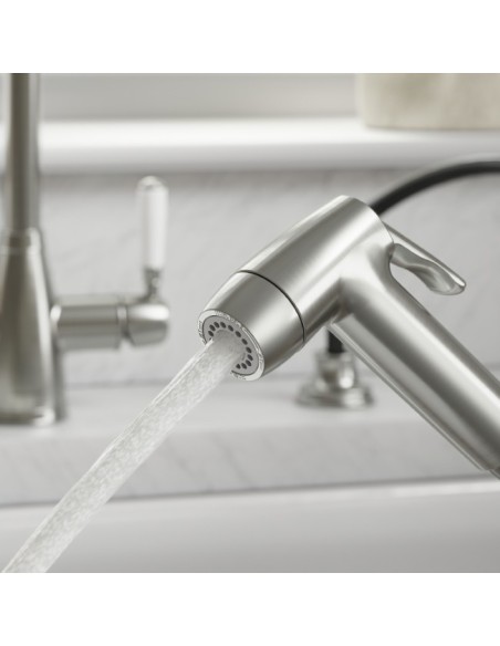 Douchette Professionnelle Double Jet Nickel Brossé Deux Modes De Débit
