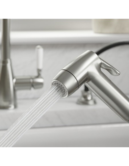 Douchette Professionnelle Double Jet Nickel Brossé Deux Modes De Débit